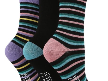 3 Pair Wild Feet Womens Patterned Bamboo Socks Online