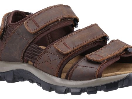 Cotswold Brize Mens Leather Walking Sandal Online