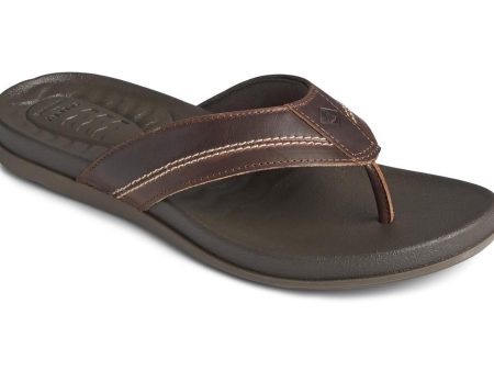 Sperry Plushwave Mens Toe Post Flip Flop For Discount